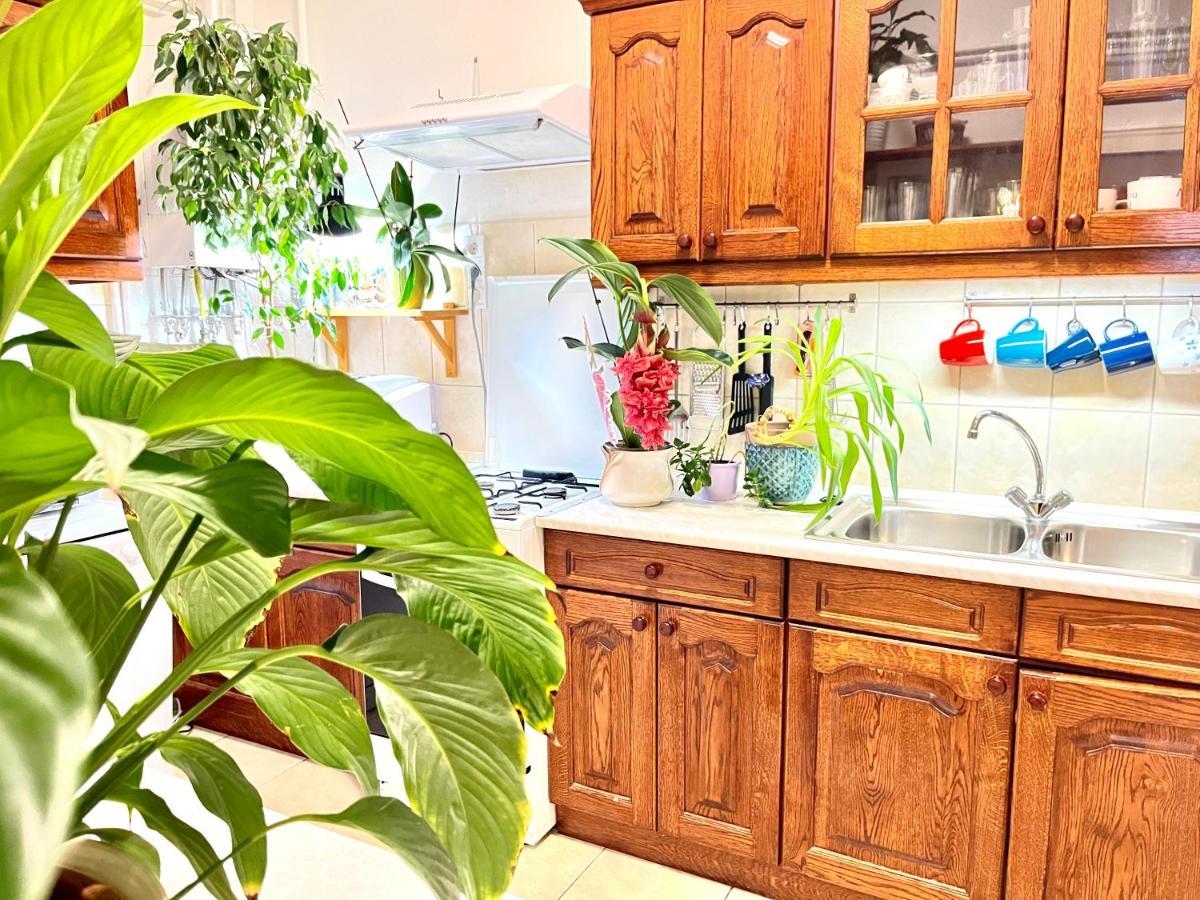Margaret Bridge Cosy Flat Leilighet Budapest Eksteriør bilde